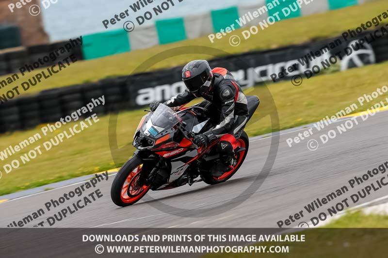 PJ Motorsport 2019;anglesey no limits trackday;anglesey photographs;anglesey trackday photographs;enduro digital images;event digital images;eventdigitalimages;no limits trackdays;peter wileman photography;racing digital images;trac mon;trackday digital images;trackday photos;ty croes